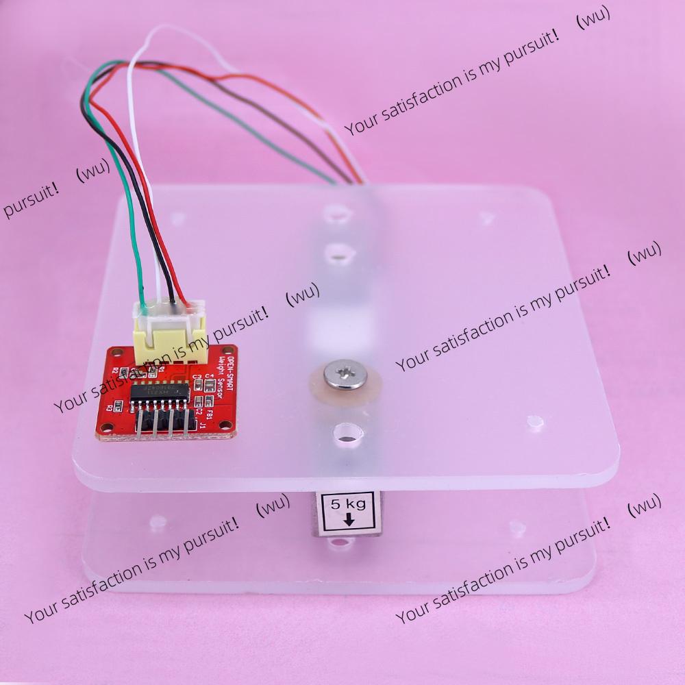 Portable electronic scale kit  - Diy Electronics Load Cell reseña y precio